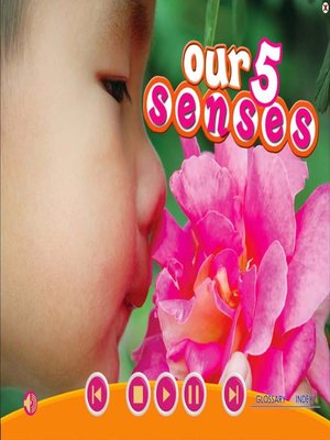 cover image of Our 5 Senses